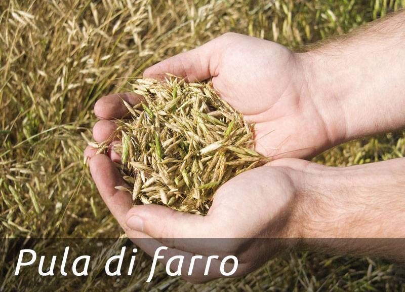 Pula di farro